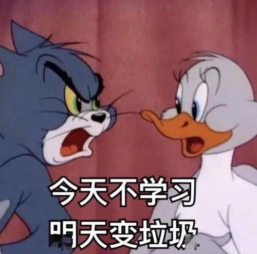 娱乐吃瓜酱学不进去了